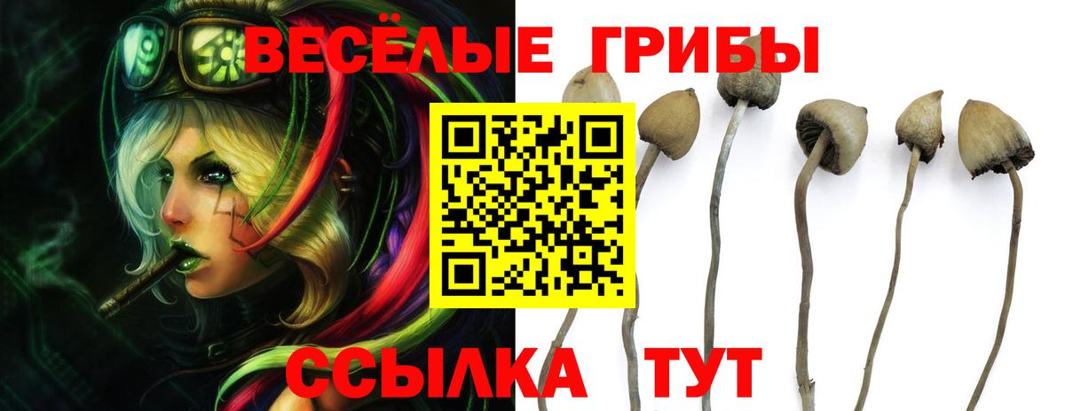 Галлюциногенные грибы GOLDEN TEACHER Каменск-Уральский
